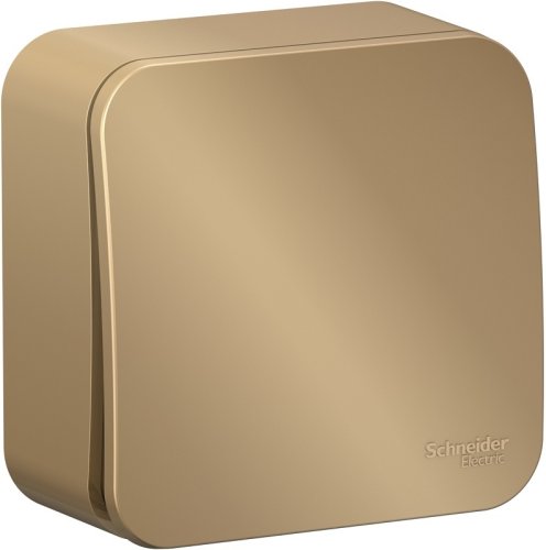 Выключатель накладной Systeme Electric Blanca 1-кл. титан фото Выключатель накладной Systeme Electric Blanca 1-кл. титан картинка